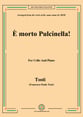 e morto Pulcinella!,for Cello and Piano P.O.D cover